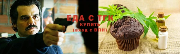 твердый Заводоуковск