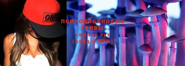 хмурый Бородино