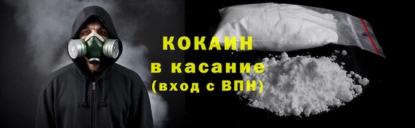 хмурый Бородино