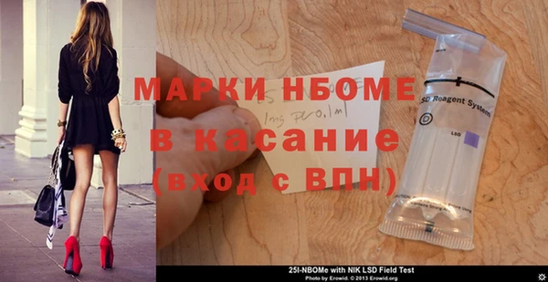 хмурый Бородино