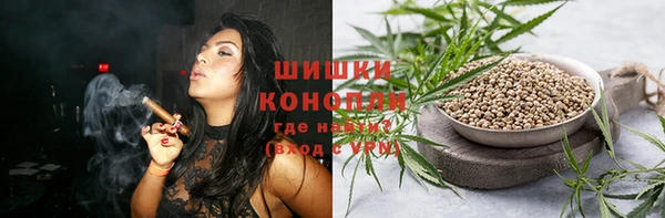 хмурый Бородино