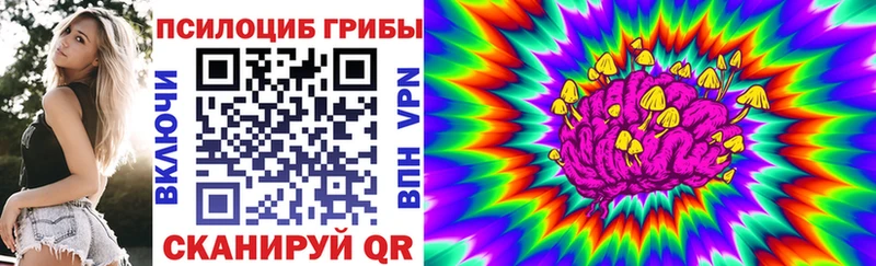 Галлюциногенные грибы прущие грибы  Данилов 